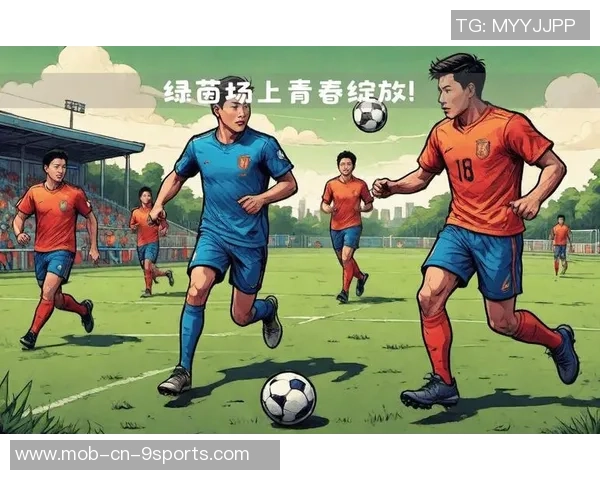 足球的魅力与激情在绿茵场上绽放的青春梦想与团队精神